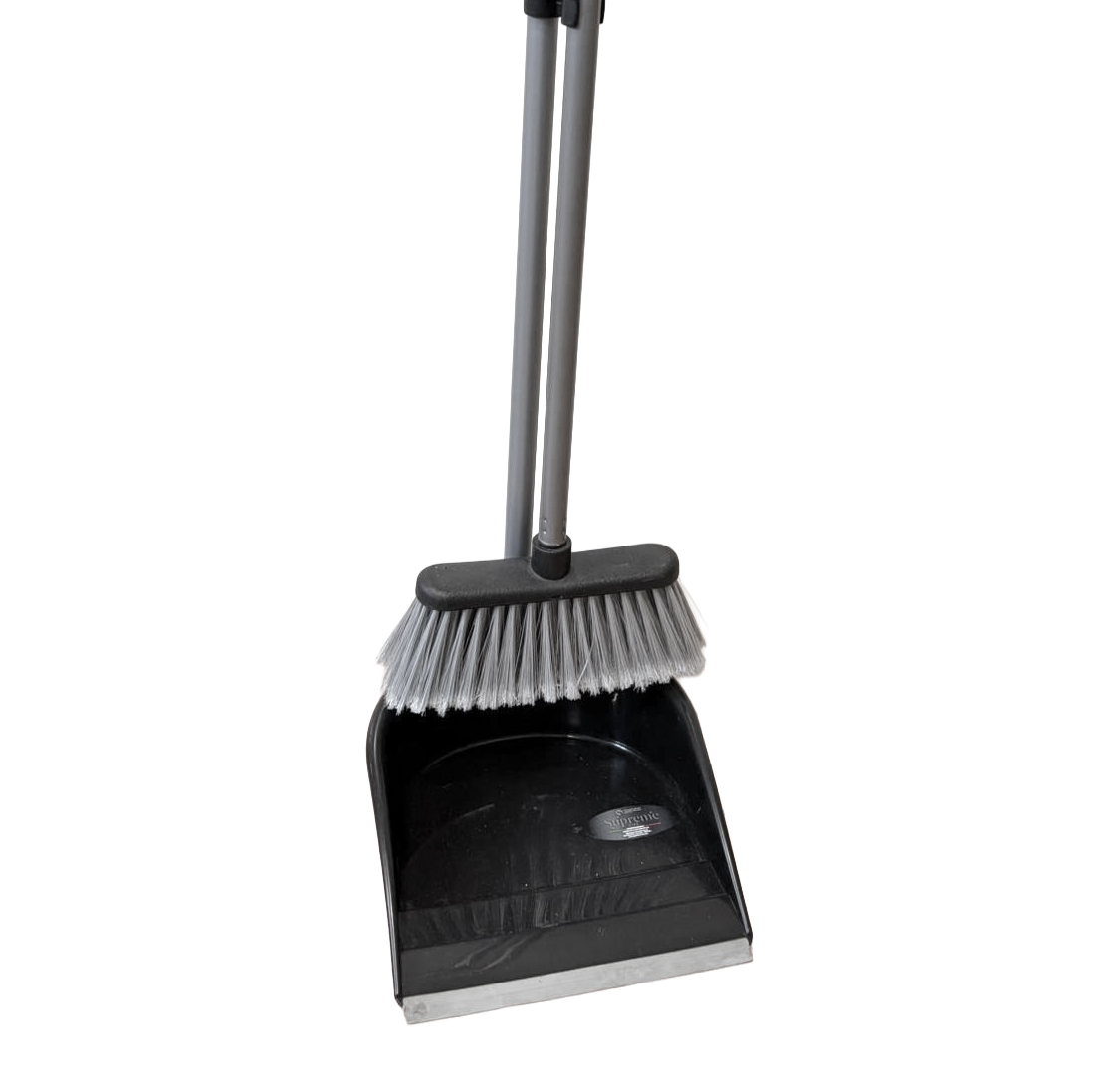 Long handle dust pan 